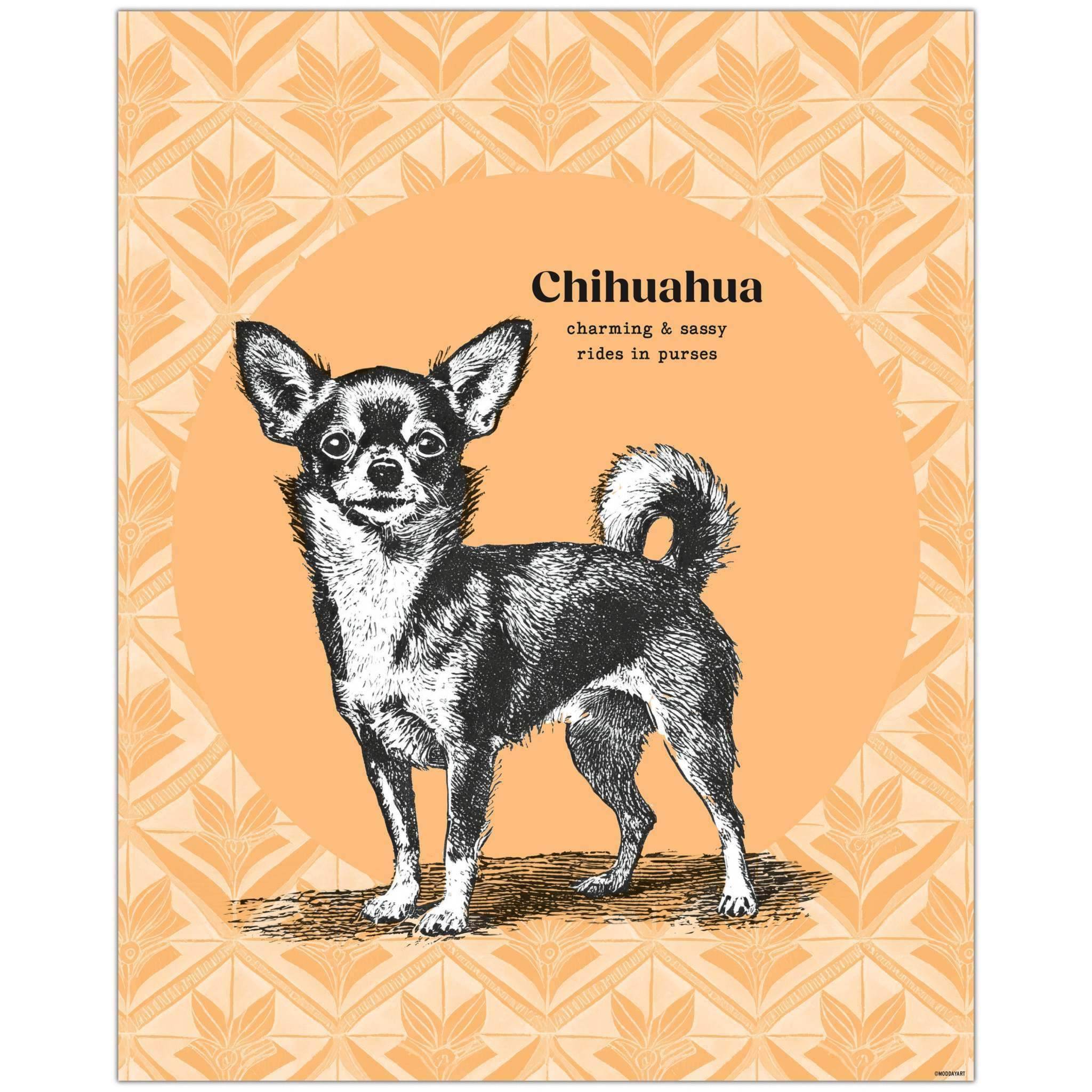 Chihuahua Drawing - Playful Canine Wall Art for Dog Lovers 8x10 Inch feature image