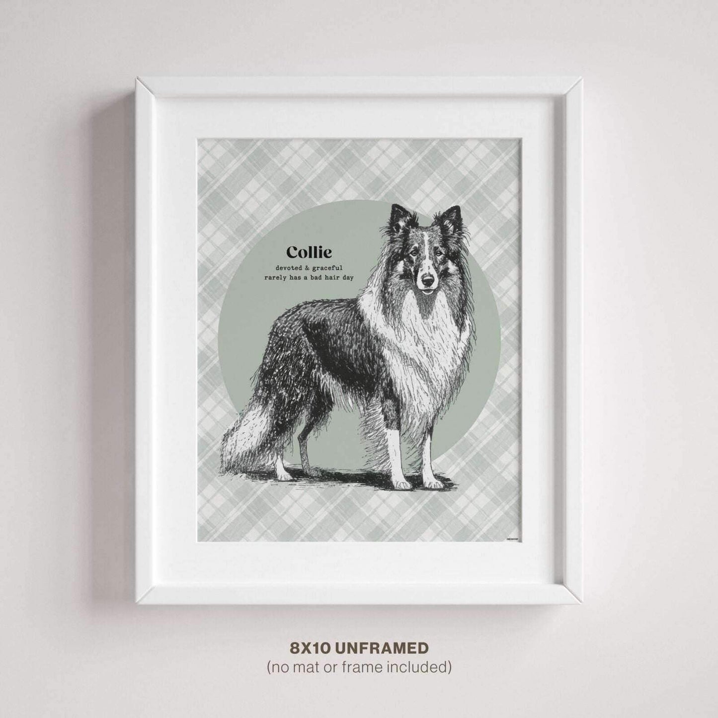 Dog Wall Art – Graceful Collie illustration printed on premium paper, displayed in a simple 8x10 frame mounted on a wall.