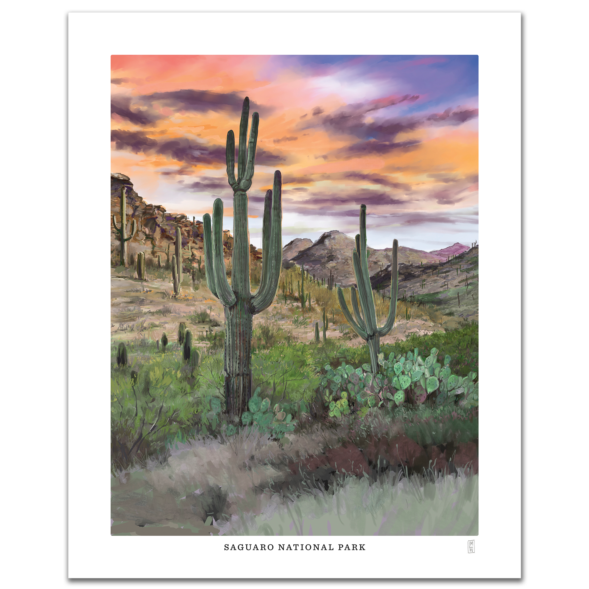 Saquaro National Park Hand-Signed Collection 
