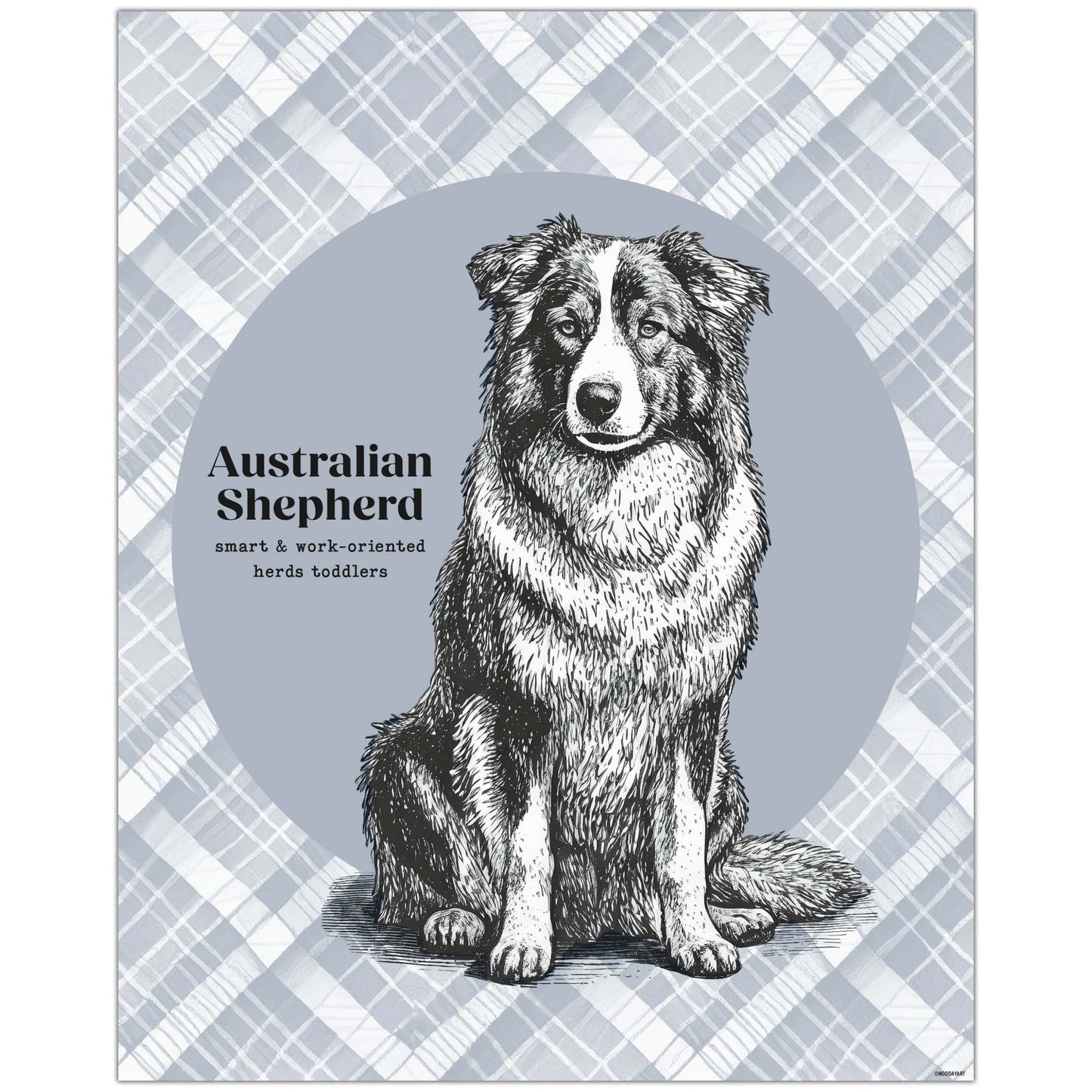 Feature image of Australian Shepherd drawing in modern blue tones, featured as an 8x10 wall art piece, perfect for dog lovers and home decor enthusiasts.