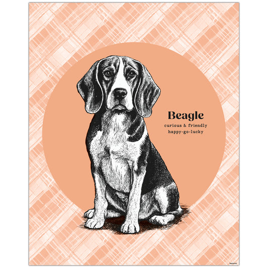 Feature image of Beagle Drawing Wall Art – Charming 8x10 canine poster, perfect for dog lovers and home decor enthusiasts.