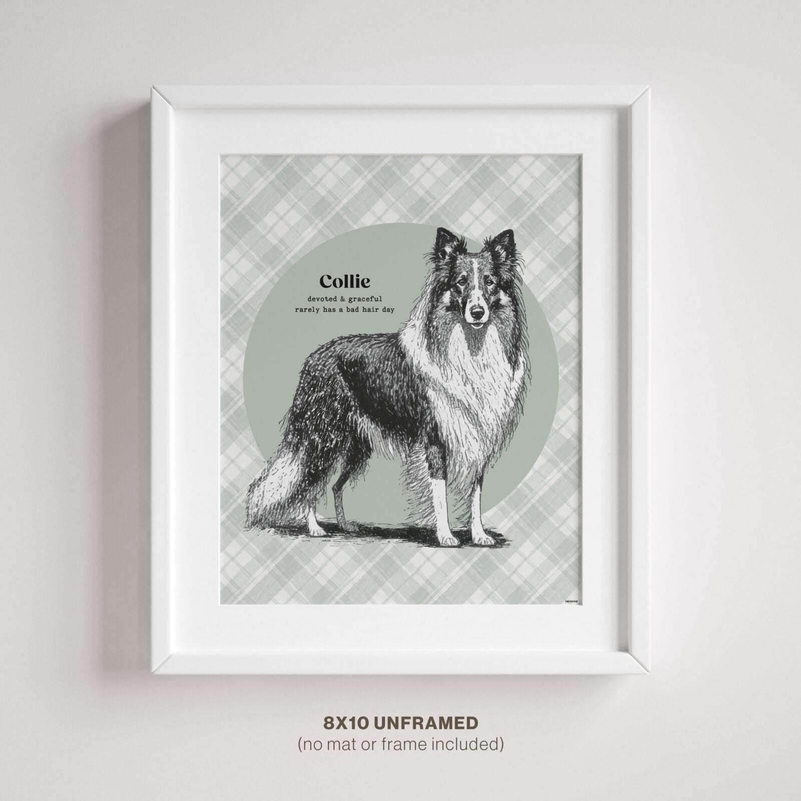 Dog Wall Art – Graceful Collie illustration printed on premium paper, displayed in a simple 8x10 frame mounted on a wall.