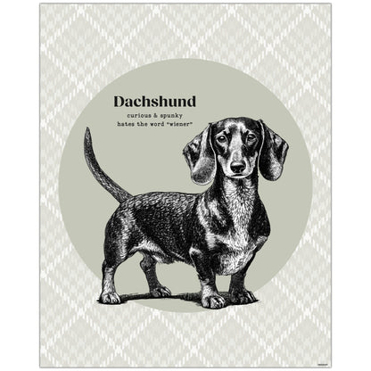 Dachshund Dog Wall Art