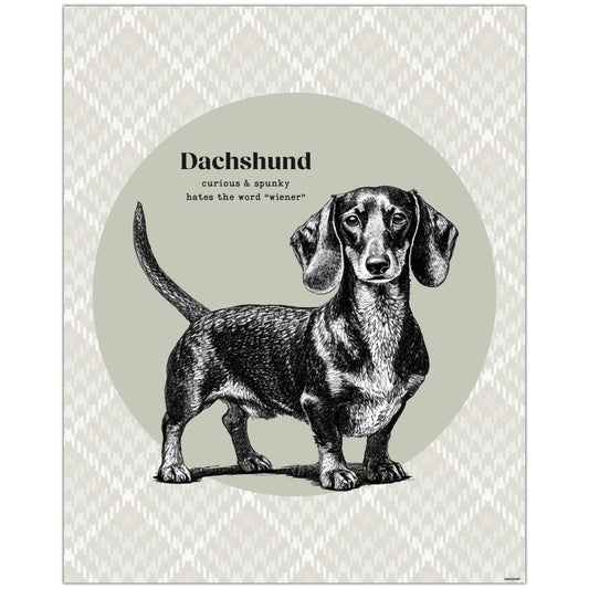 Charming Dachshund art with a playful quote & houndstooth background feature image.