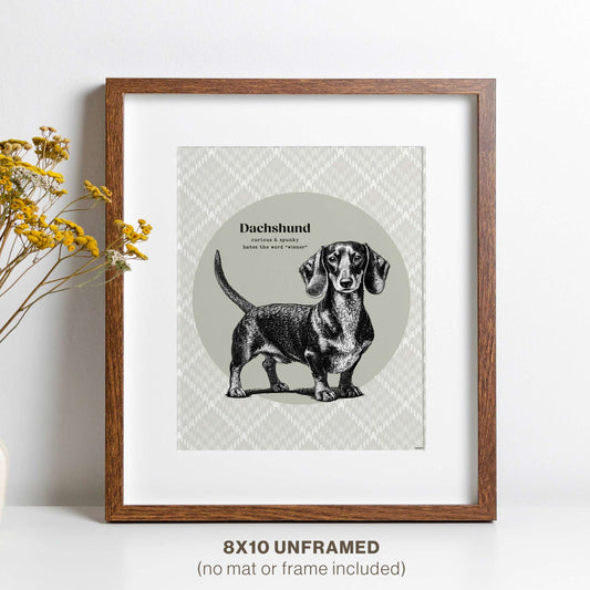 Framed Dachshund art in a modern wood frame, elegantly displayed next to a vibrant flower.