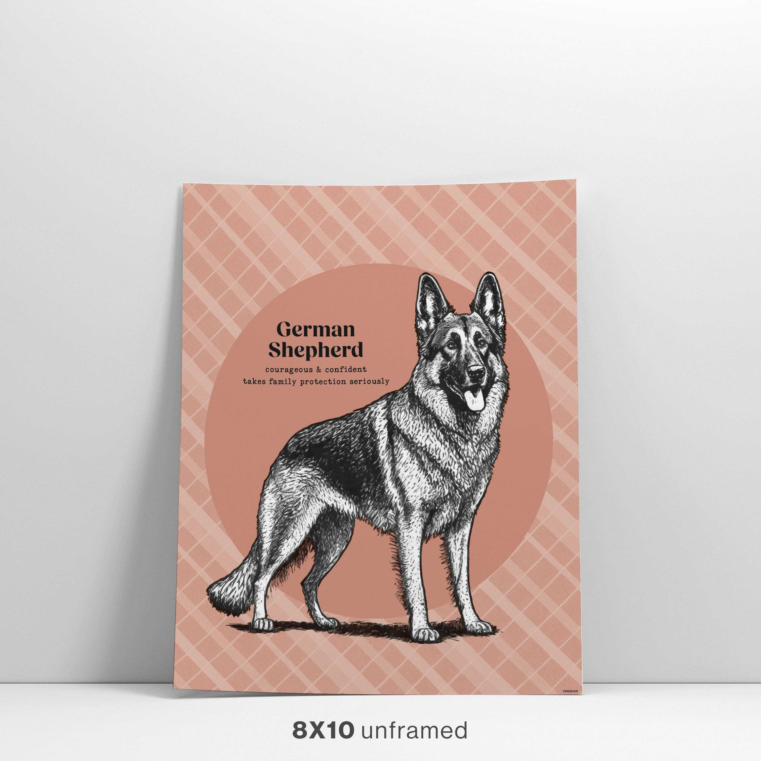 German Shepherd