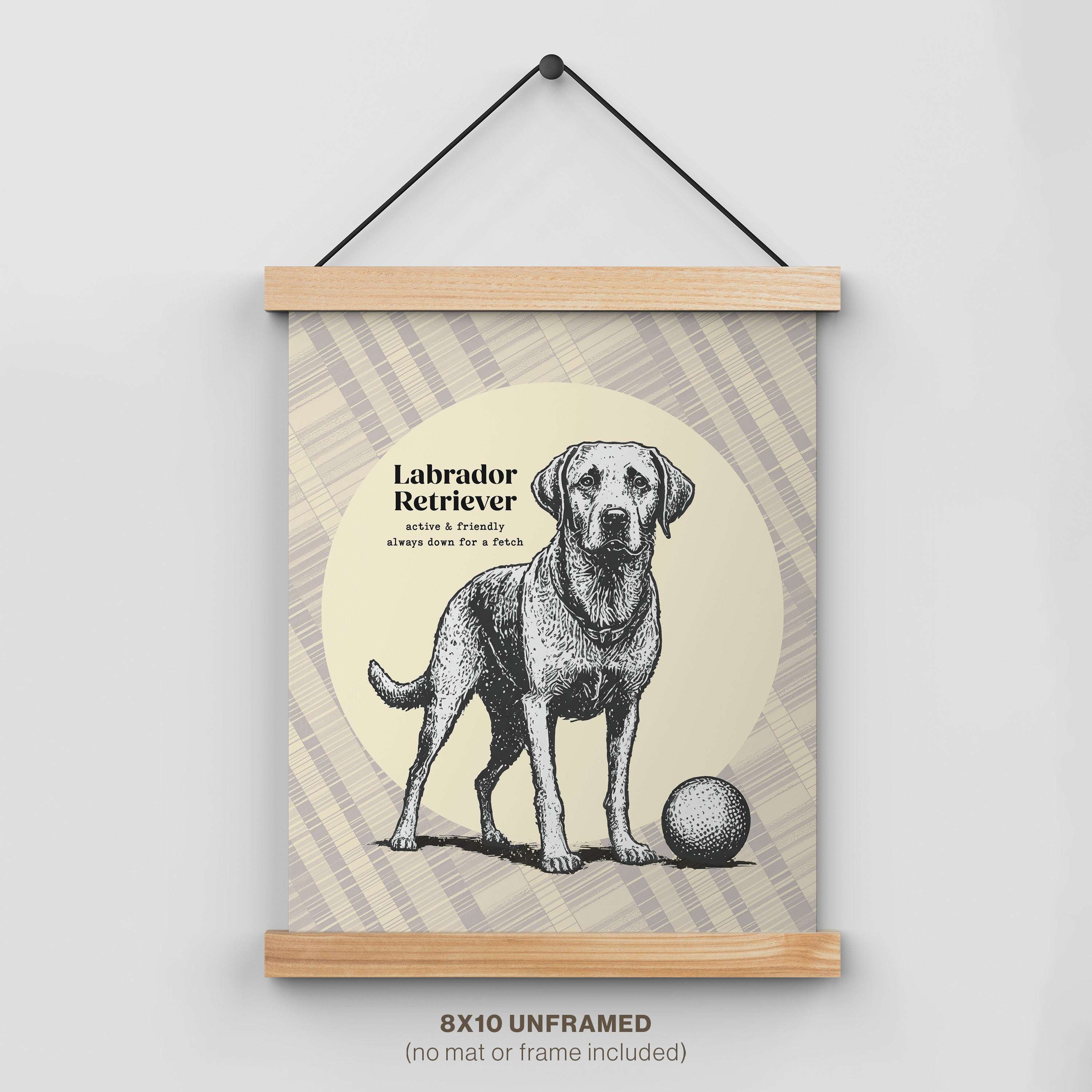 Labrador