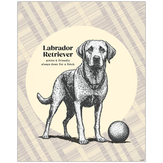 Labrador art with modern striped background, featuring the caption "active & friendly, always down for a fetch."