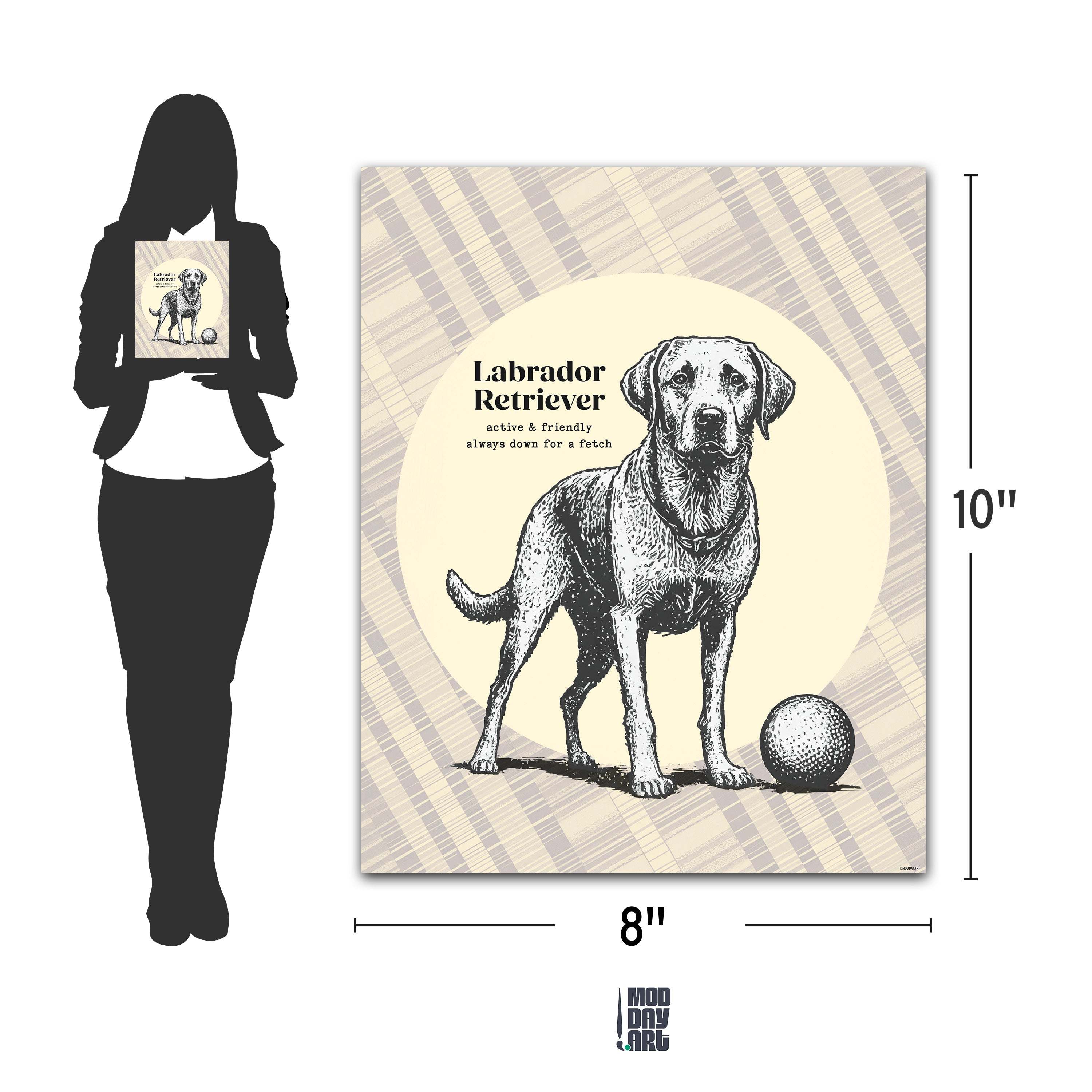 Labrador