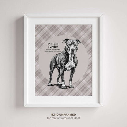 Framed Pit Bull drawing displayed on a white wall.