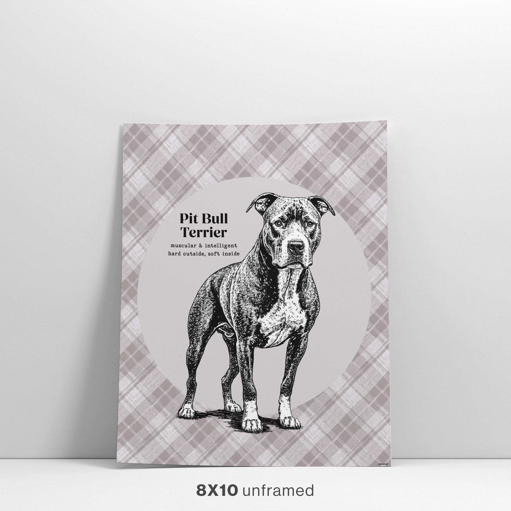Pit Bull