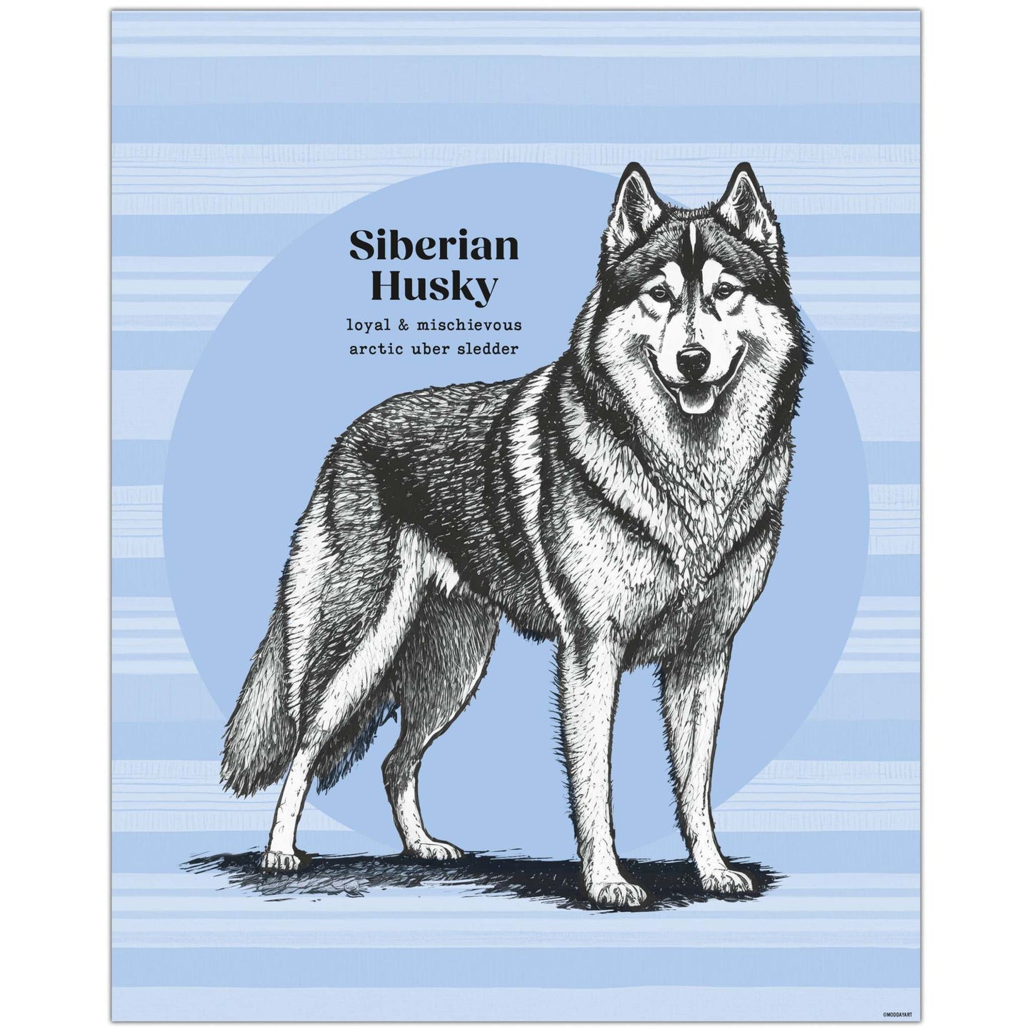 Siberian Husky wall art with black and white drawing on striped background.